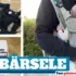 Gasolgrill TEST: 7 bästa grillarna 2024 (bäst i test)